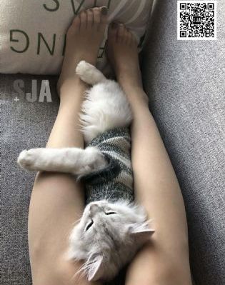 国产精品推荐天天看天天爽_DVD在线手机播放